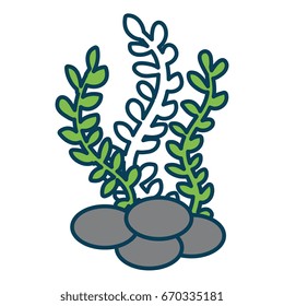 sea weed isolated icon