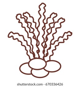 sea weed isolated icon
