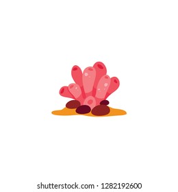 sea weed vector