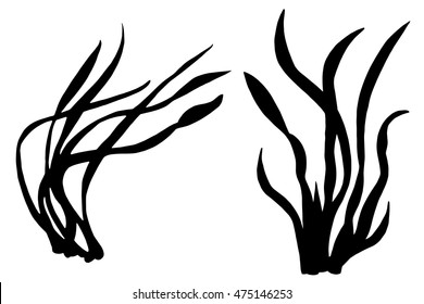 Sea weeds black silhouettes, grass, leaves set isolated on white background