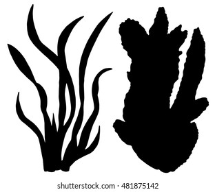 Sea weeds black silhouettes, grass, leaves set isolated on white background
