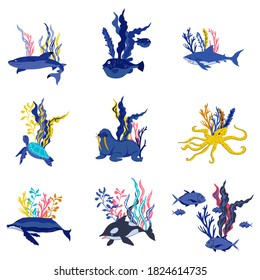 Sea Weeds and Marine Creatures Floating and Swimming Vector Set. Sea Animal and Wild Underwater Fauna Concept