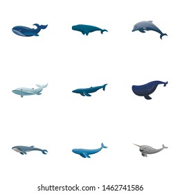 Sea whale icon set. Cartoon set of 9 sea whale vector icons for web design isolated on white background