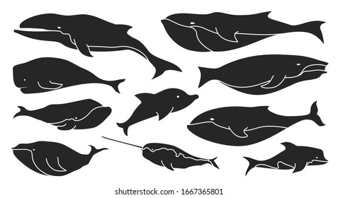 Sea whale vector Black set icon.Vector illustration marine animal of whale.Isolated Black icon of sea animal on white background.