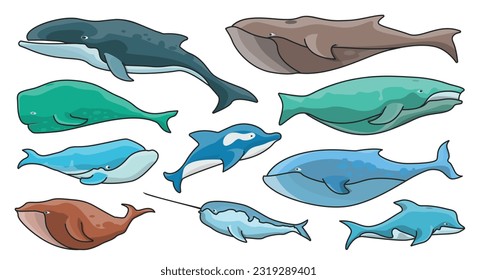 Sea whale vector color set icon.Vector illustration marine animal of whale.Isolated color icon of sea animal on white background.