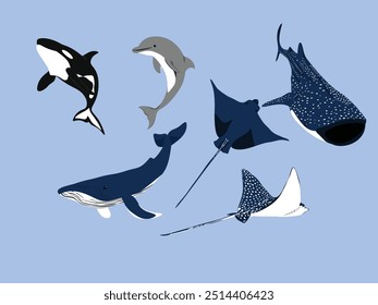 Sea Wild animal dolphin, manta, shark, whale, blue whale, orca