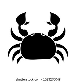 sea wild life crab marine animal image