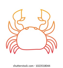 sea wild life crab marine animal image