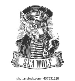 Sea wolf with pipe and ribbon. Vector engraving vintage illustrations. Isolated on white background. For tattoo, poster, web and label