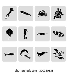 Sea world creatures and fish 12 simple icons set