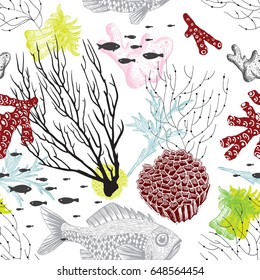 sea world fish corals nature pattern