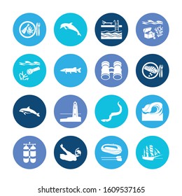 Sea world icon set and eel with fish with chips, underwater flashlight and binoculars. Diver related sea world icon vector for web UI logo design.
