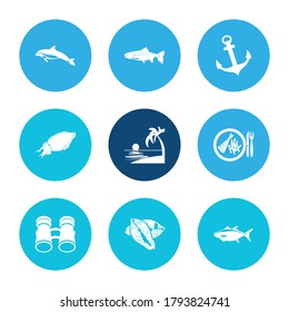 Sea world icon set and fish steak with trout fish, sunset in the sea and anchor. Snack related sea world icon vector for web UI logo design.