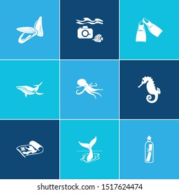 Sea world icon set and mussel with sea horse, cetacean and octopus. Swimwear related sea world icon vector for web UI logo design