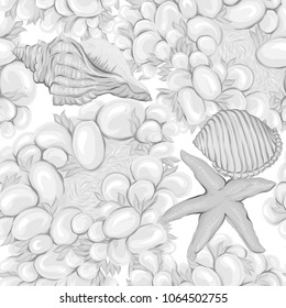 Sea world seamless pattern, background with fish, corals and shells on white background. Stock vectorÂ illustration. In monochrome gray colors