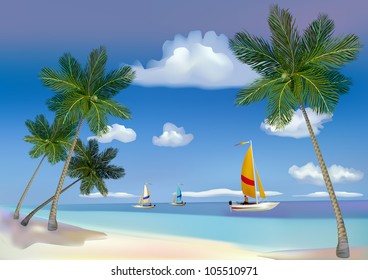 The sea, yachts, palm trees.