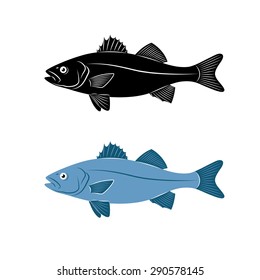 Seabass fish. Vector Illustration