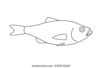 Seabass perch marine line art, seafood and underwater animal. Aquatic delicacy, gourmet. Fishery. Coloring for children. Vector illustration isolated on white background