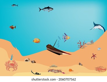 seabed with fish and sunken ruins