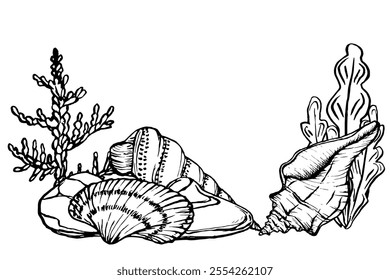 Seabed landscape with Seashells and Seaweed. Underwater design template drawing in line art style. Hand drawn vector illustration of undersea: algae, corals, seashells painted by black ink. Marine art