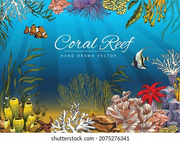 Seabed Or Ocean Bottom With Coral Reef Colony And Fishes, Colored Sketch Vector Illustration. Hand Drawn Background Or Banner With Underwater Or Marine Life Elements.