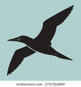 Seabird silhouette flying. Gannet with long pointed wings. Marine bird graphic vector. Wild animal flight illustration.