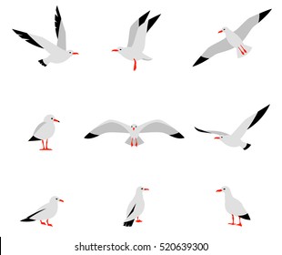 Seabirds. Set of beautiful seagulls in a flat style isolated on white background.