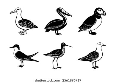 Seabirds Silhouette Collection – Albatross, Puffin, Seagull, Tern, Pelican, Sandpiper Vector Designs