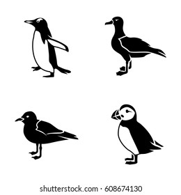 Seabirds vector icons