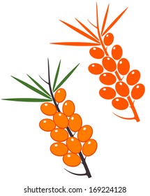 Sea-buckthorn berries