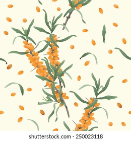 Sea-buckthorns (Hippophae) seamless background