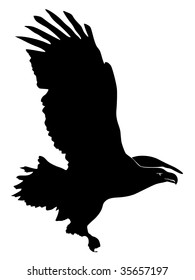 3,066 Sea Eagle Silhouette Images, Stock Photos & Vectors 