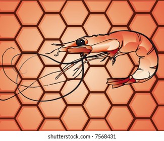 seafood