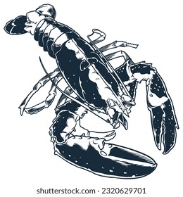 Seafood animal lobster engraving drawing vector. Hand sketch vintage style. Food animal ocean sea isolated on white background.