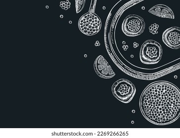 Seafood banner design with red caviar canape, canned caviar, lemons, spices on tray sketches on chalkboard. Sea delicacy background template for restaurant or finger food menu