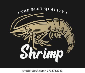 Seafood Banner illustration for Seafood Restaurant