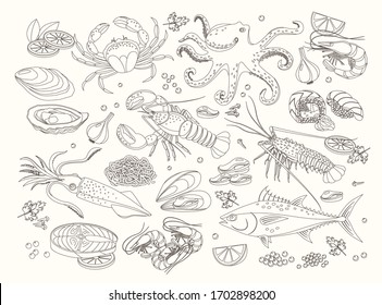 Seafood bid collection of line design elements, hand drawn vector graphics for menu template. Sea fish, sushi rolls, oysters, mussels, lobster, squid, octopus, crabs, prawns, salmon, shellfish, tuna.