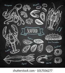 Seafood big set. Chalk sketch on blackboard background. Hand drawn vector illustration. Retro style.