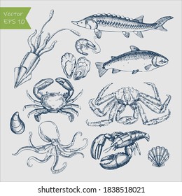 Seafood big set. Ink sketch isolated on white background. Hand drawn vector illustration.