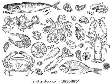 Seafood big set. Ink sketch isolated on white background. Hand drawn vector illustration. Retro style.