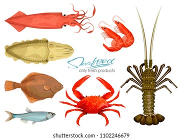 Seafood in cartoon style. Icons. Vector illustrations. Set squid, cuttlefish, crab, shrimp, spiny lobster, flounder fish, sprat isolated on white background. Inhabitant wildlife of underwater world.