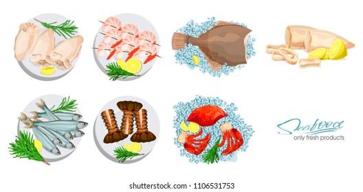 Seafood in cartoon style. Vector illustration. Seafood platter set squid, cuttlefish, crab, shrimp, spiny lobster, flounder fish, sprat on ice cubes isolated on white background. Icons.