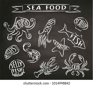 Seafood chalk contour  vector illustrations on blackboard, elements for restaurant menu design, decor, label. Chalk textured grunge contours of sea animals with names.