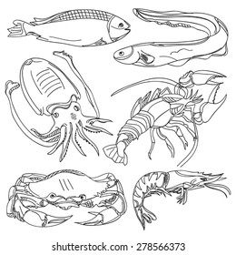 Seafood Collection