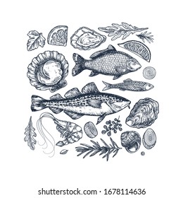 Seafood collection. Engraved vintage sea restaurant set. Fish, prawn, seashell, herbs. Vector illustration