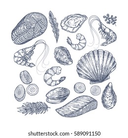 Seafood collection. Engraved vintage sea restaurant set. Vector illustration