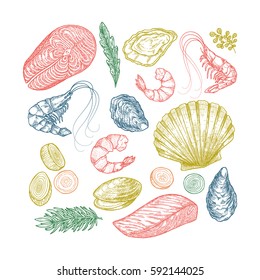 Seafood collection. Engraved vintage sea restaurant set. Vector illustration