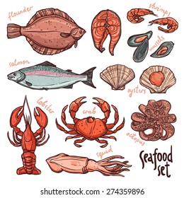 Seafood collection, hand drawn color illustration with lobster, octopus, squid, salmon, flounder, crab, mussels, oysters and shrimps on white background