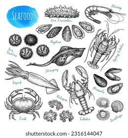 Seafood collection. Ink sketches isolated on white background. Hand drawn vector illustration. Retro style.