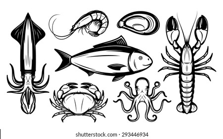 Seafood collection. Sea animal isolated on white for your work.